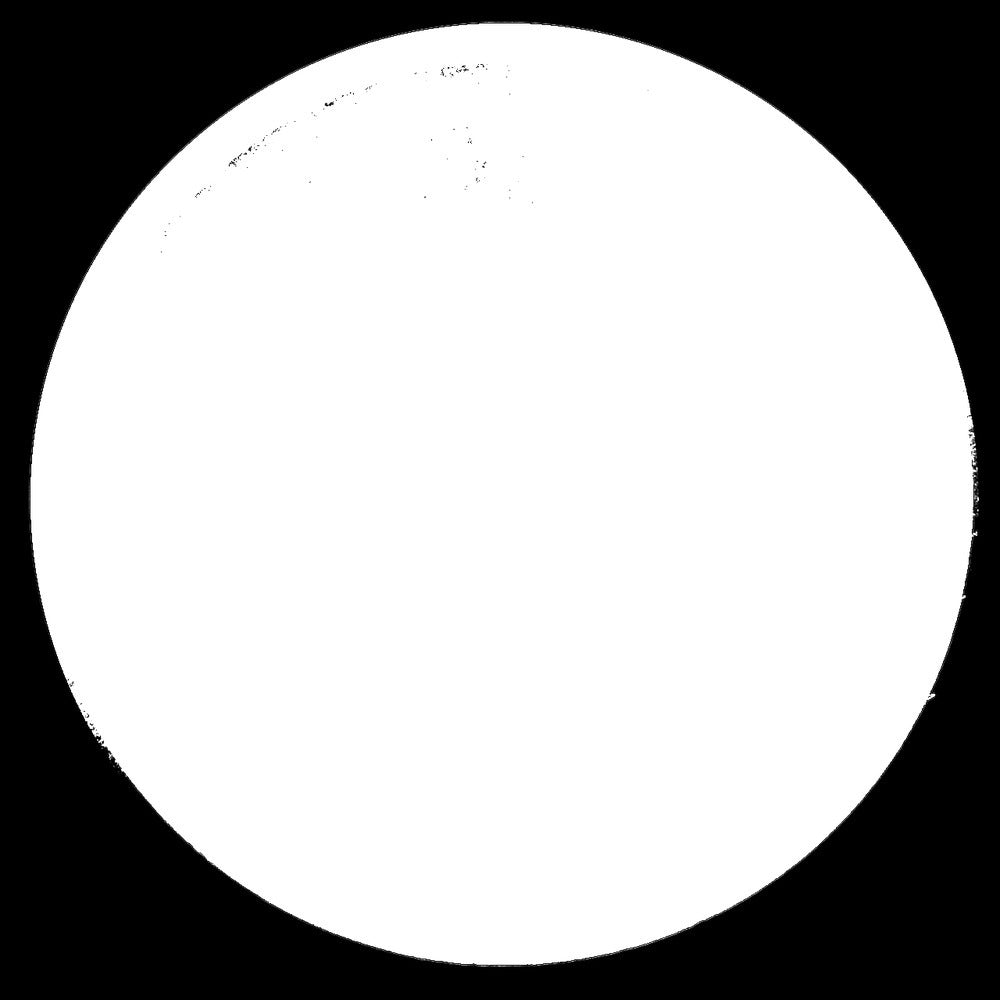 Srebrna moneta 1 oz Wiedeńscy Filharmonicy 2024